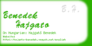 benedek hajgato business card