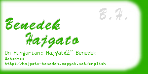 benedek hajgato business card